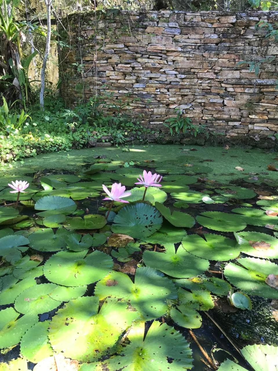 Vila Dravida Petar Villa Iporanga Bagian luar foto