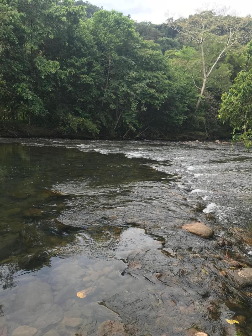 Vila Dravida Petar Villa Iporanga Bagian luar foto