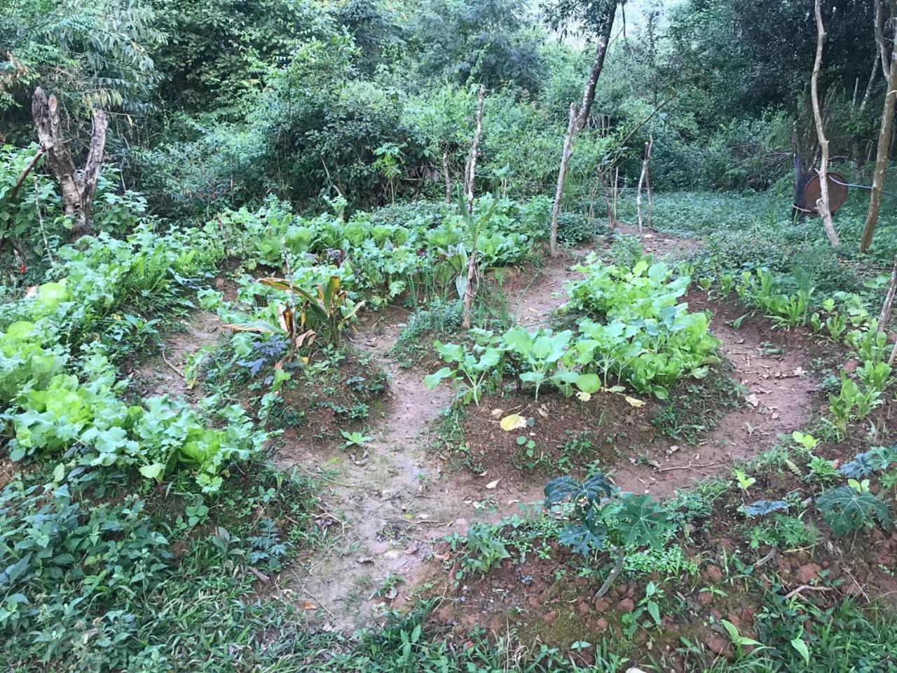 Vila Dravida Petar Villa Iporanga Bagian luar foto