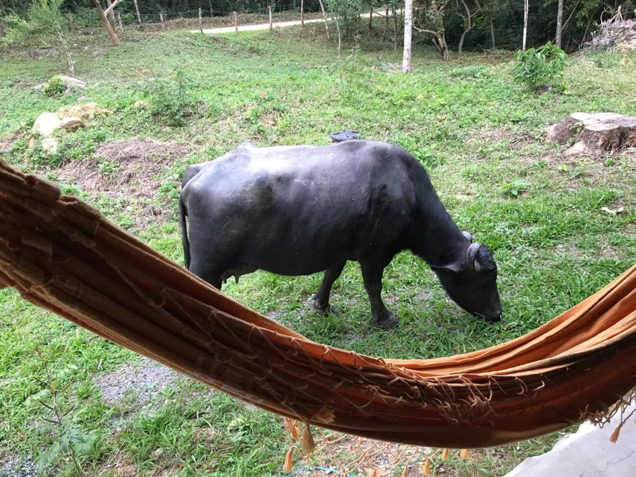 Vila Dravida Petar Villa Iporanga Bagian luar foto