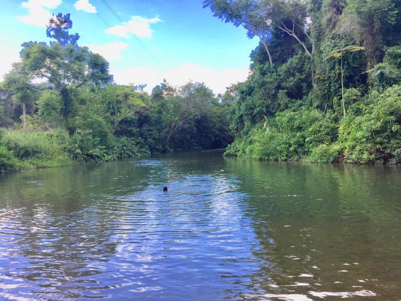 Vila Dravida Petar Villa Iporanga Bagian luar foto