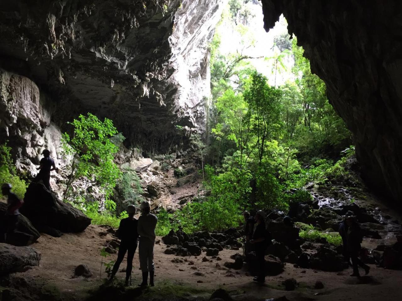 Vila Dravida Petar Villa Iporanga Bagian luar foto